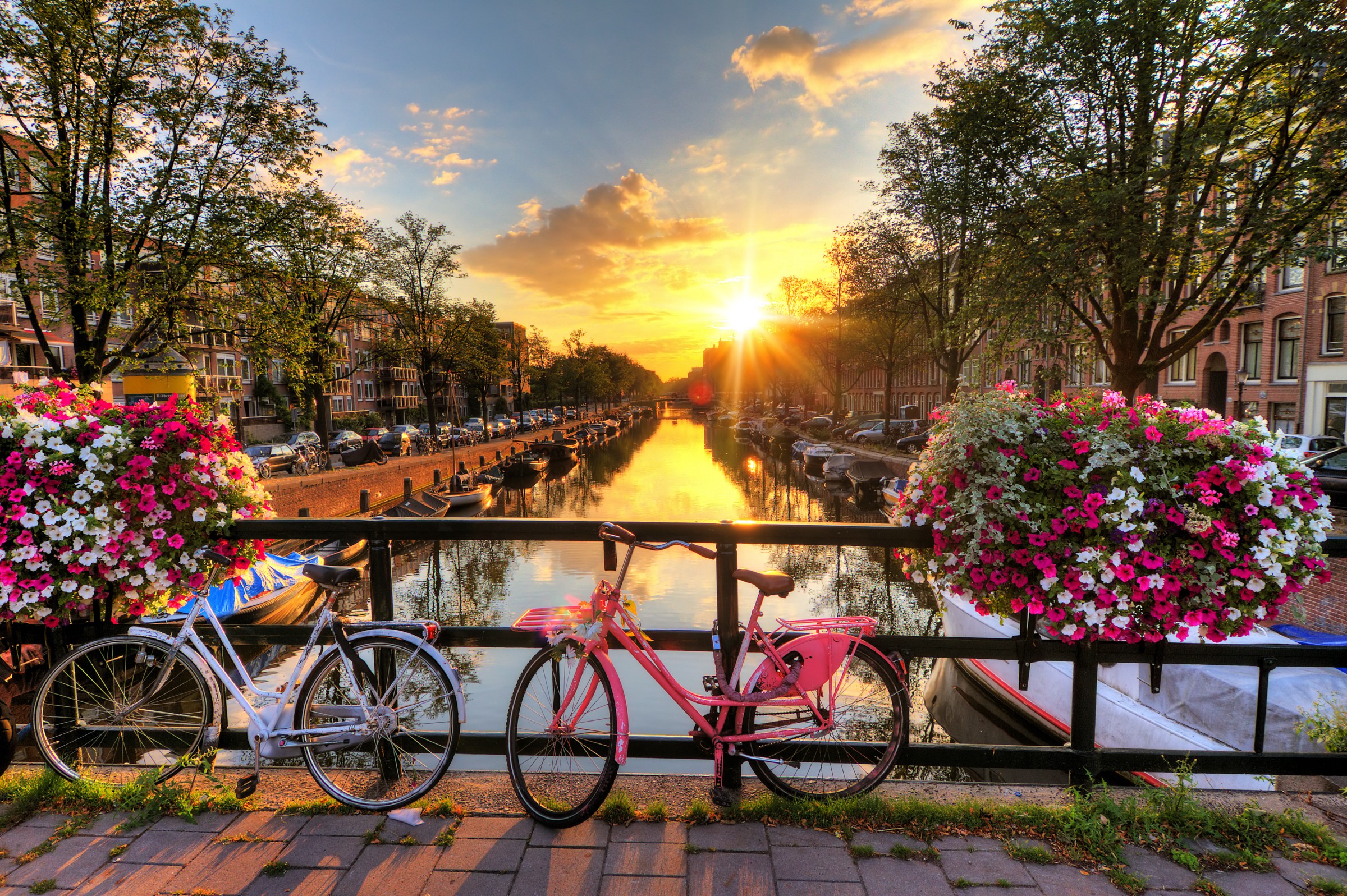 paris tours from amsterdam