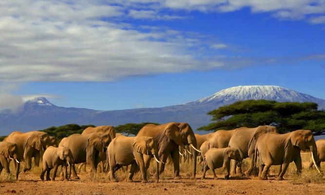 путешествие в Кению!